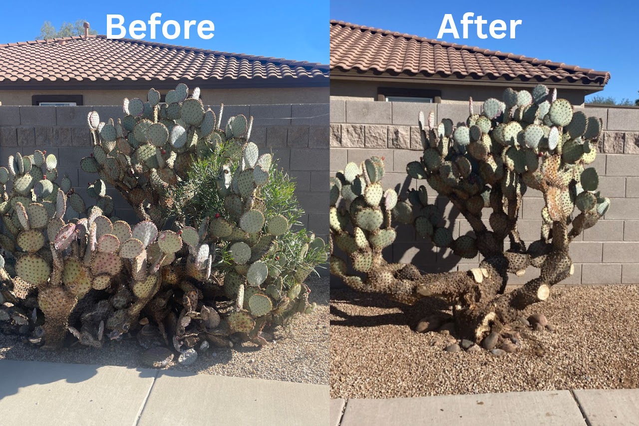 Desert Garden Services project
