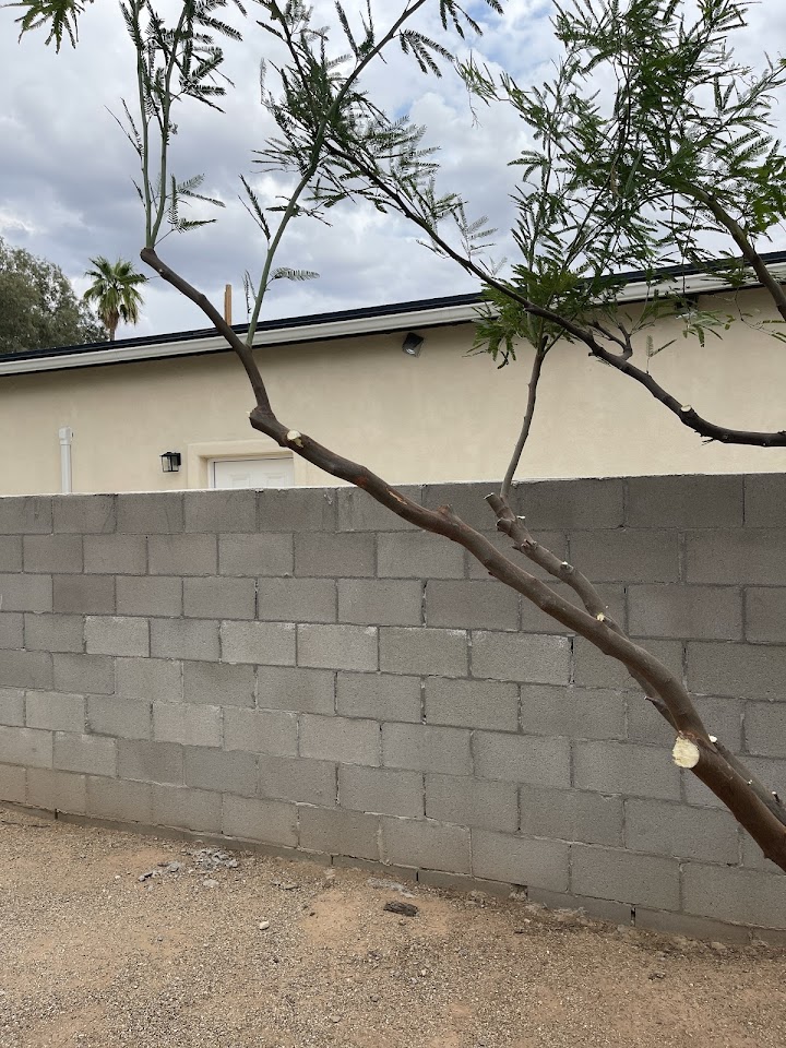 Desert Garden Services project